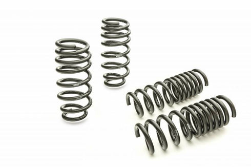 Eibach PRO-KIT Springs 15+ Challenger 5.7